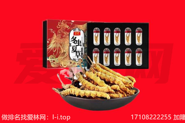 东莞望牛墩镇回收虫草.jpg
